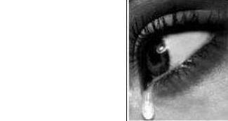 pleurer